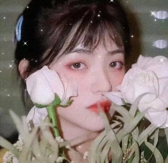我最后一次看见巴黎